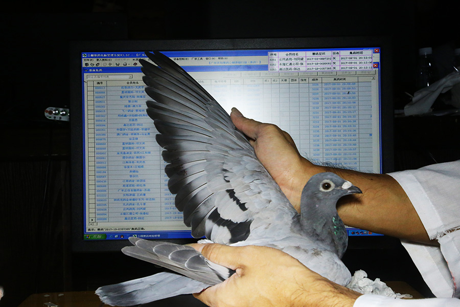 2017-19-0357385 