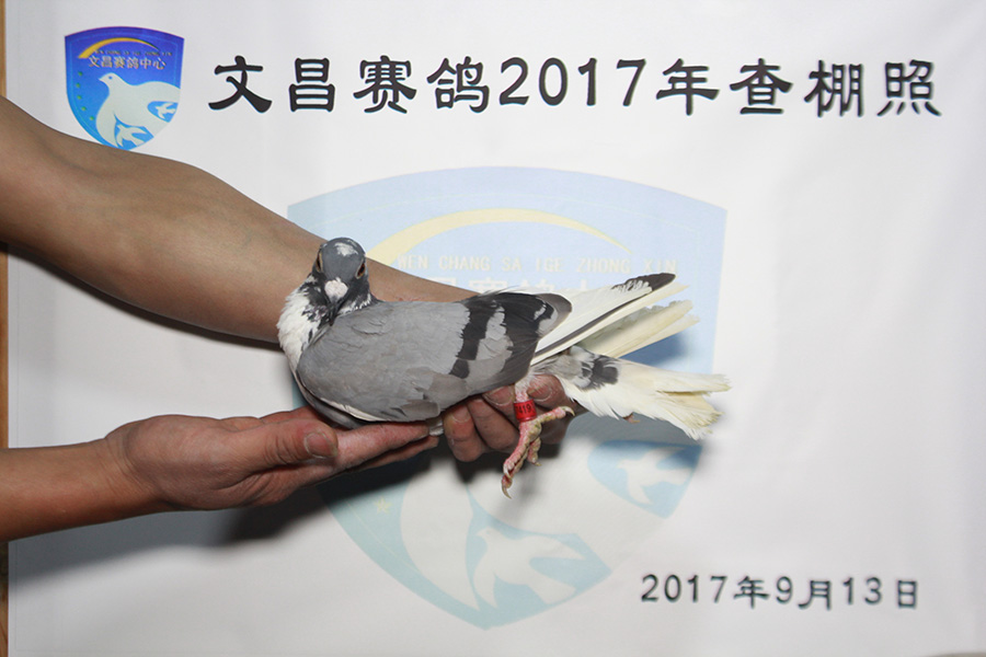 04-0587419 