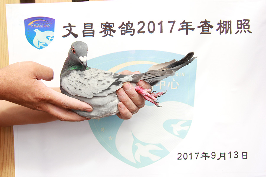 19-0065912 