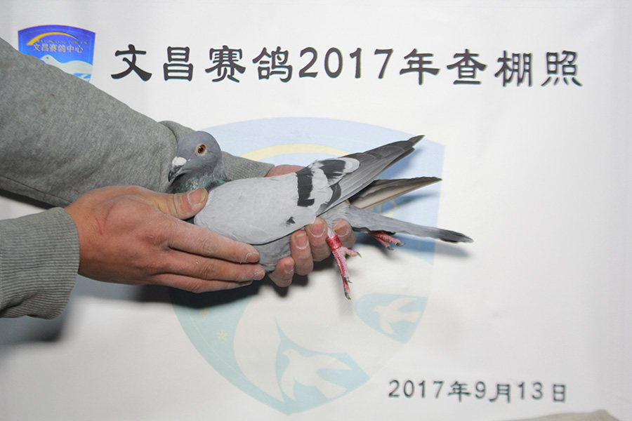 24-0568350 