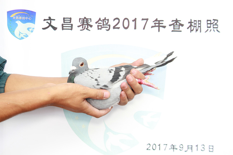 23-0382547 