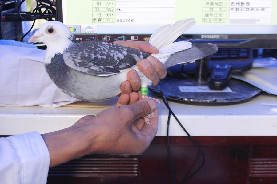 2110 