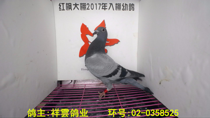 02-0358525 