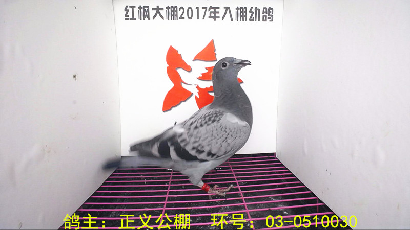 03-0510030 