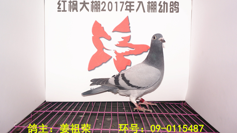 09-0115487 