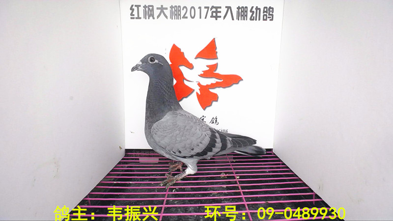 09-0489930 