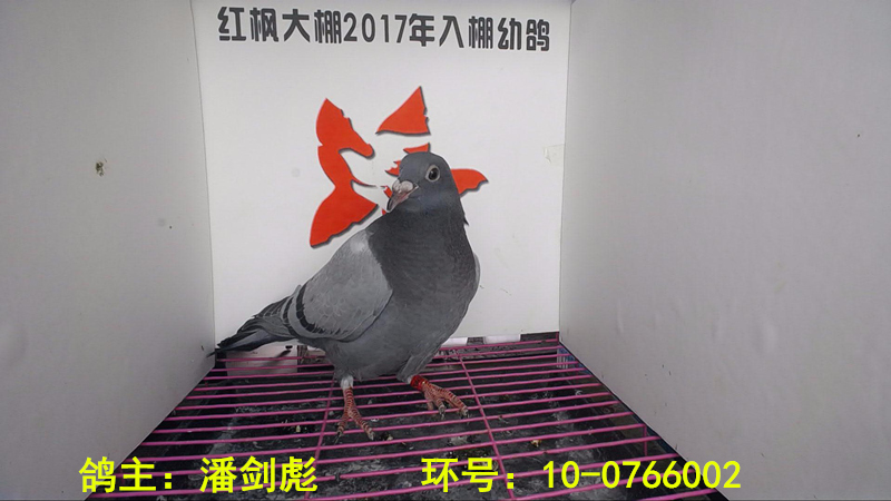 10-0766002 