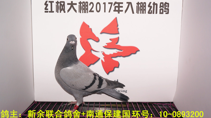 10-0893200 