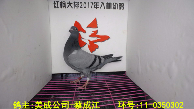 11-0350302 
