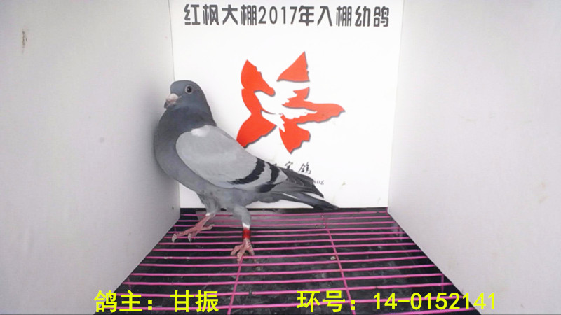 14-0152141 