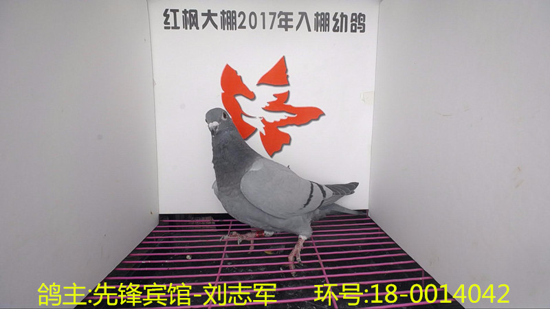 18-0014042 
