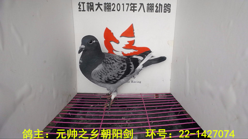 22-1427074 
