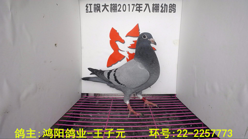 22-2257773 