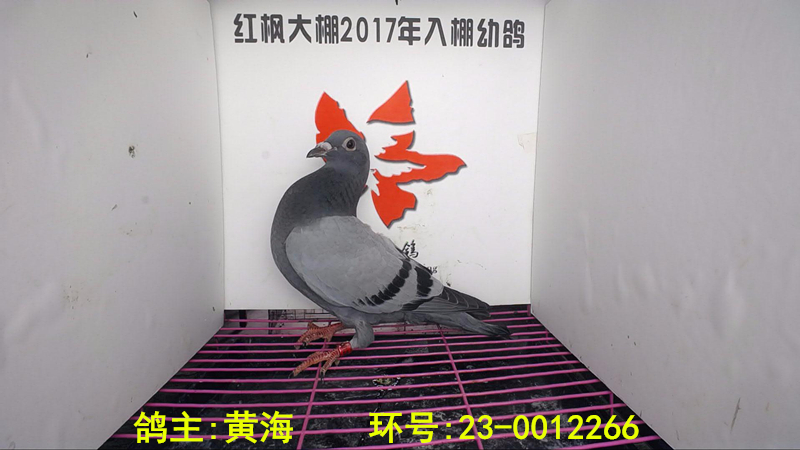 23-0012266 