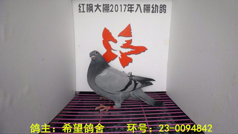 23-0094842 
