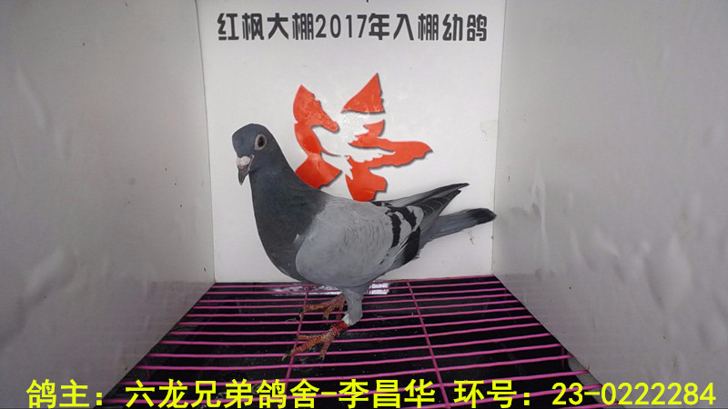 23-0222284 
