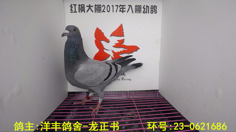 23-0621686 