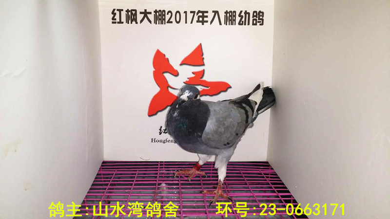 23-0663171 
