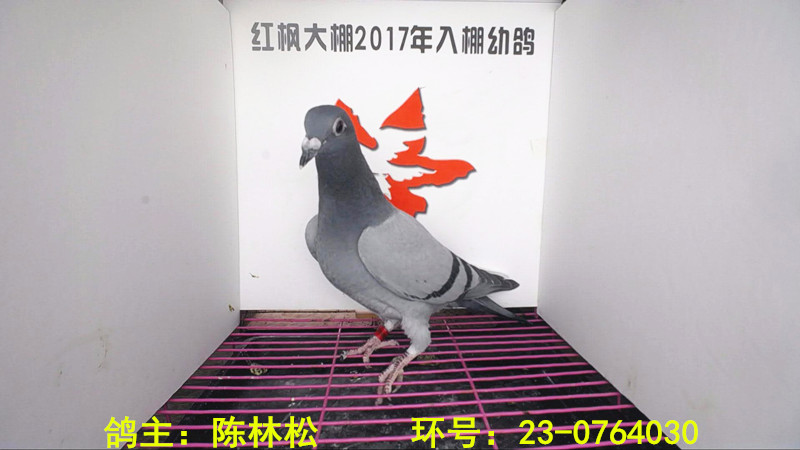 23-0764030 
