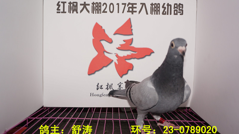 23-0789020 