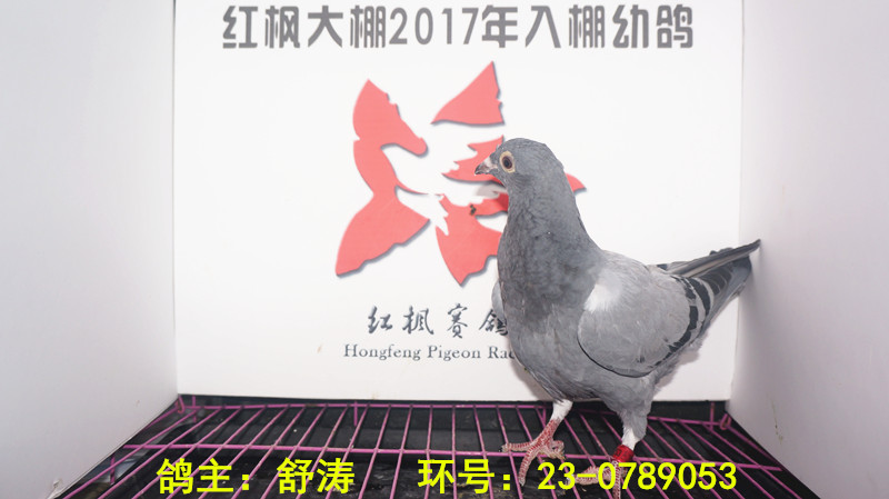 23-0789053 