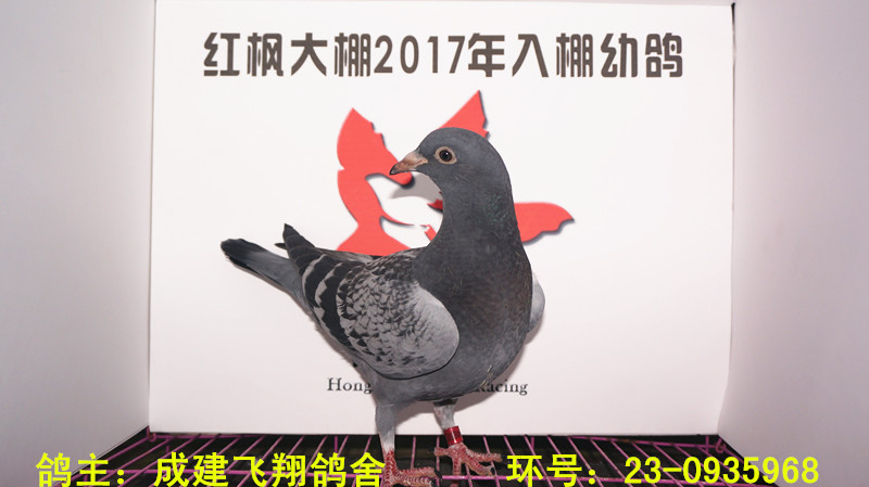 23-0935968 