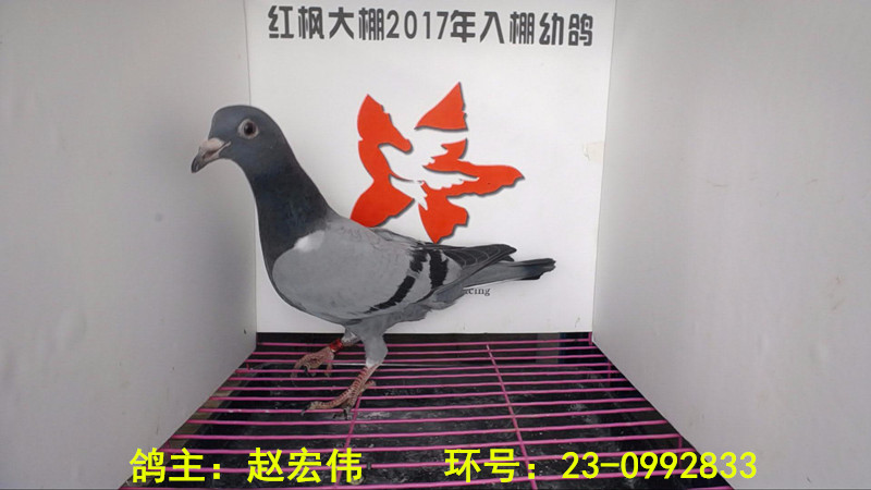 23-0992833 