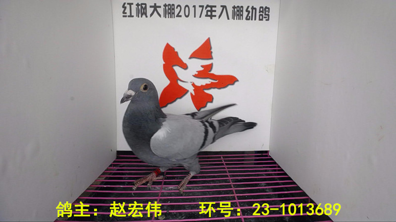 23-1013689 