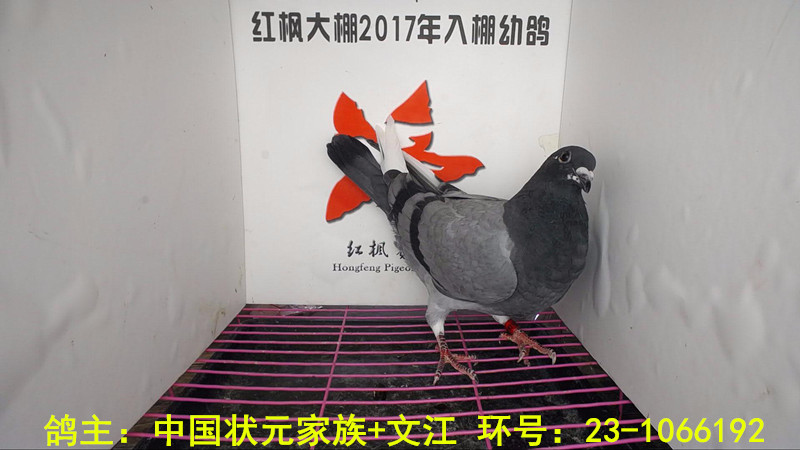 23-1066192 