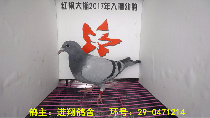 29-0471214 