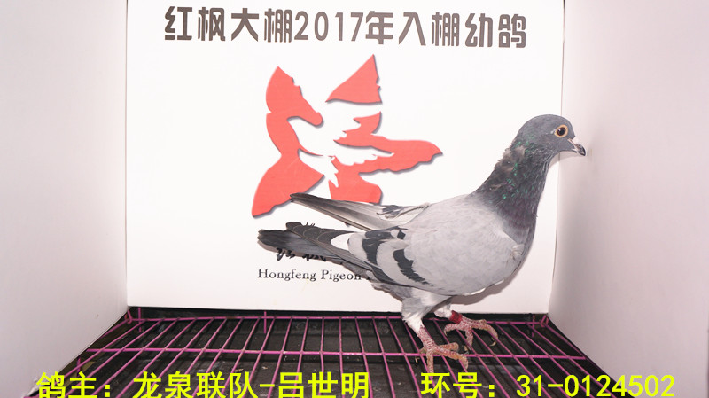 31-0124502 