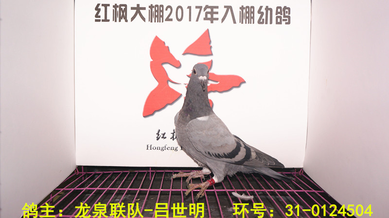31-0124504 