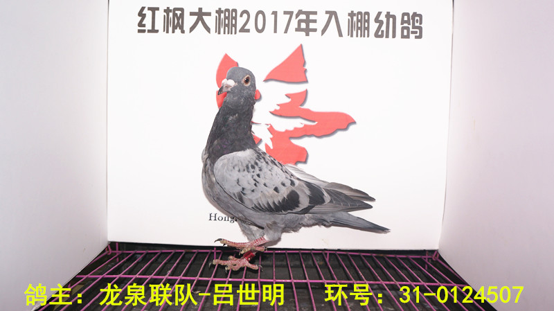 31-0124507 
