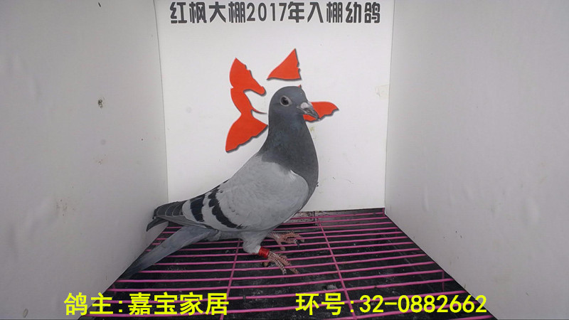 32-0882662 