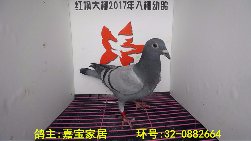 32-0882664 
