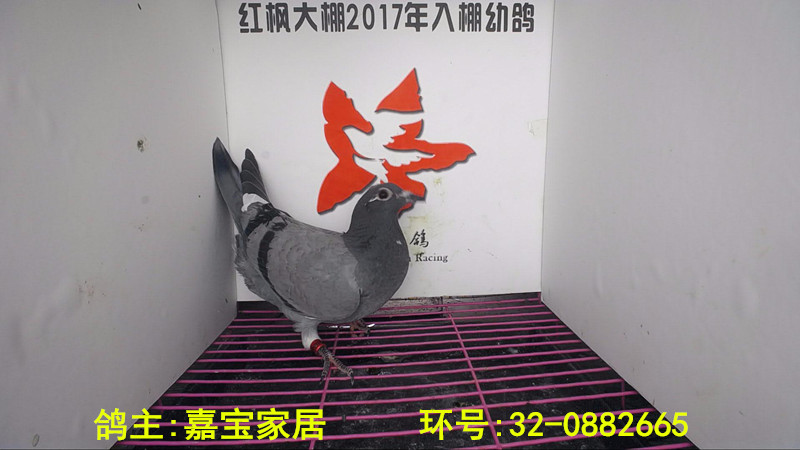 32-0882665 