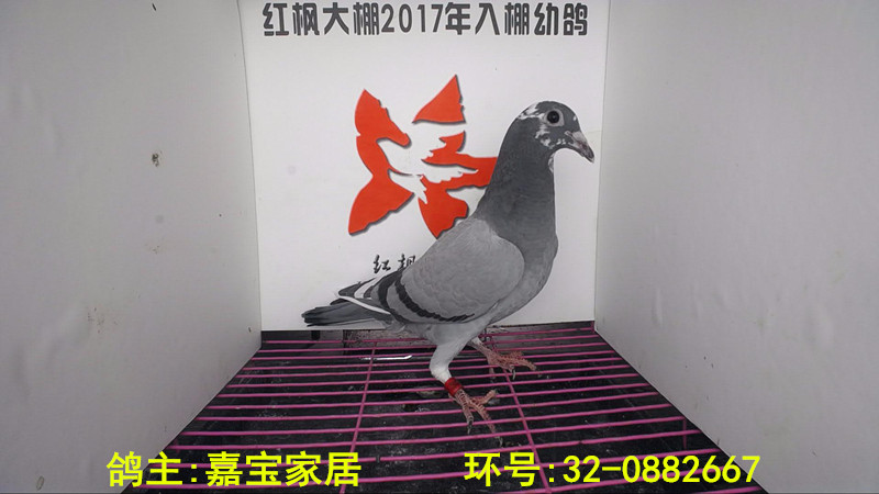 32-0882667 