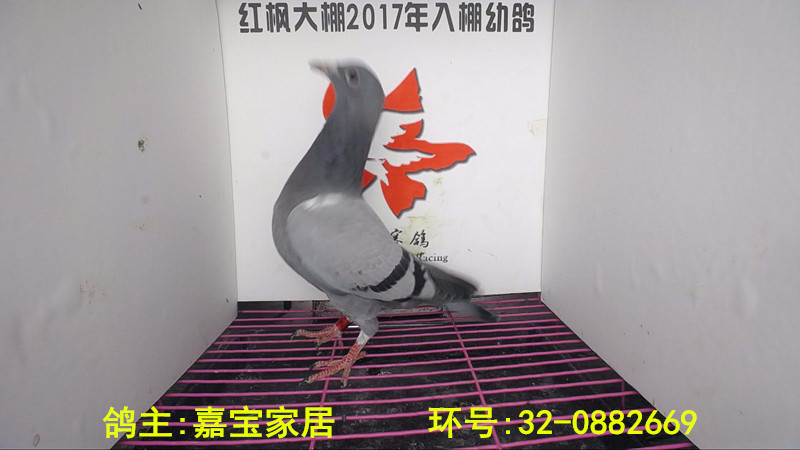 32-0882669 