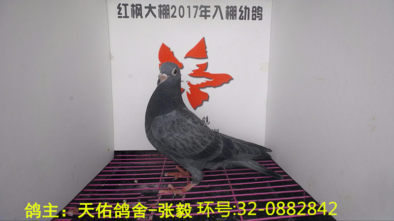 32-0882842 