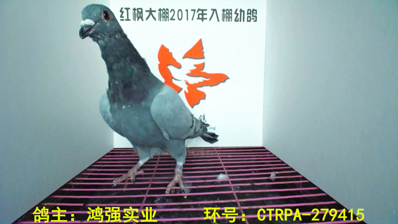CTRPA-279415 