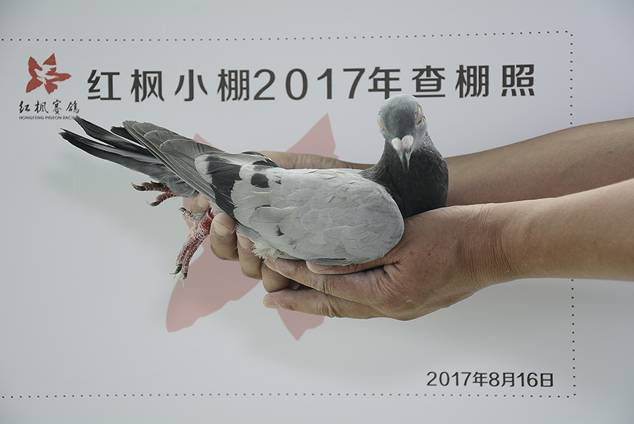 225 