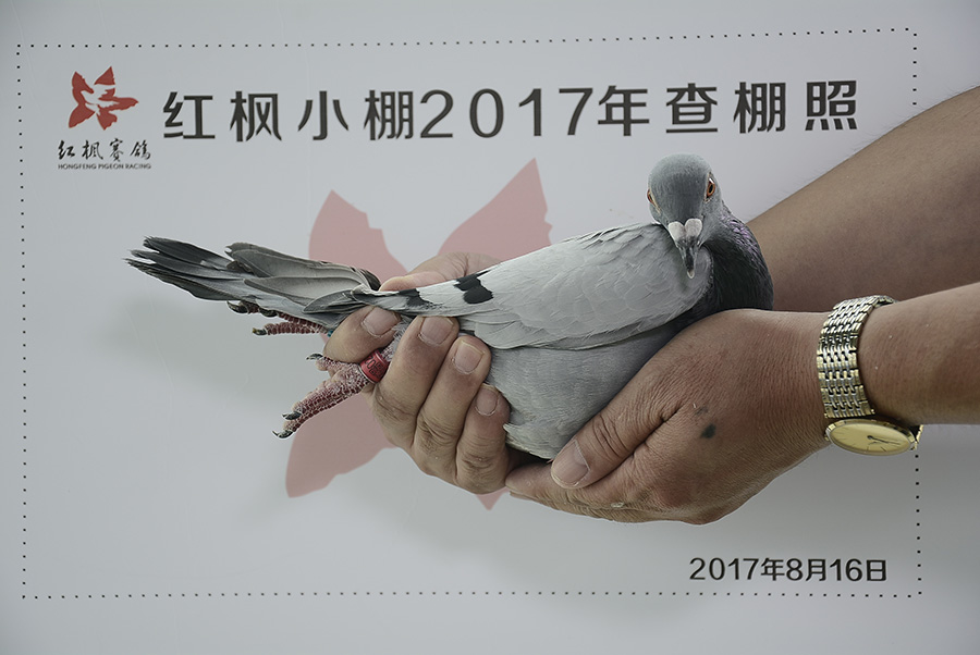 263 