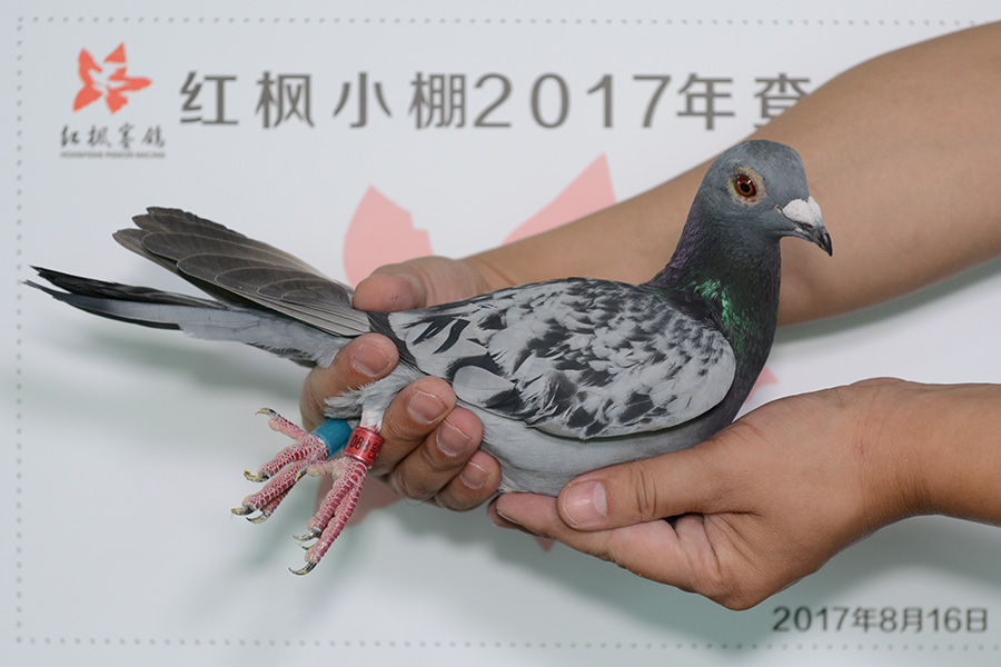 2921 