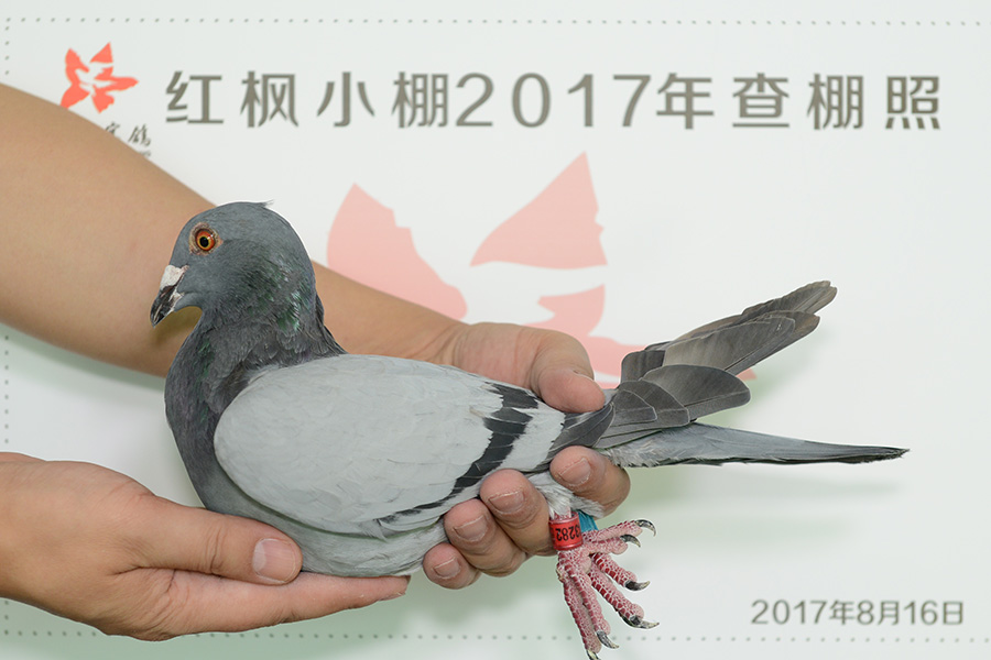2960 