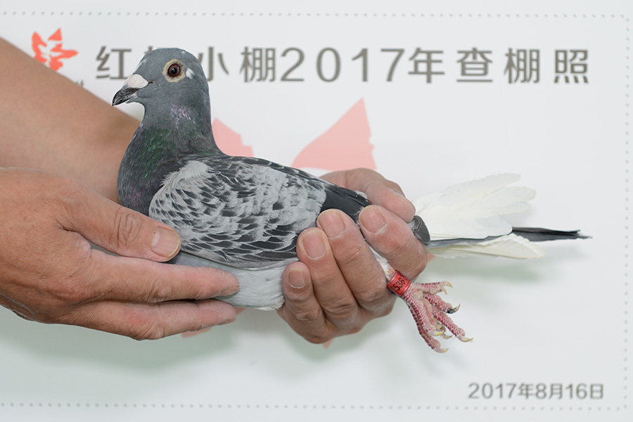 3114 