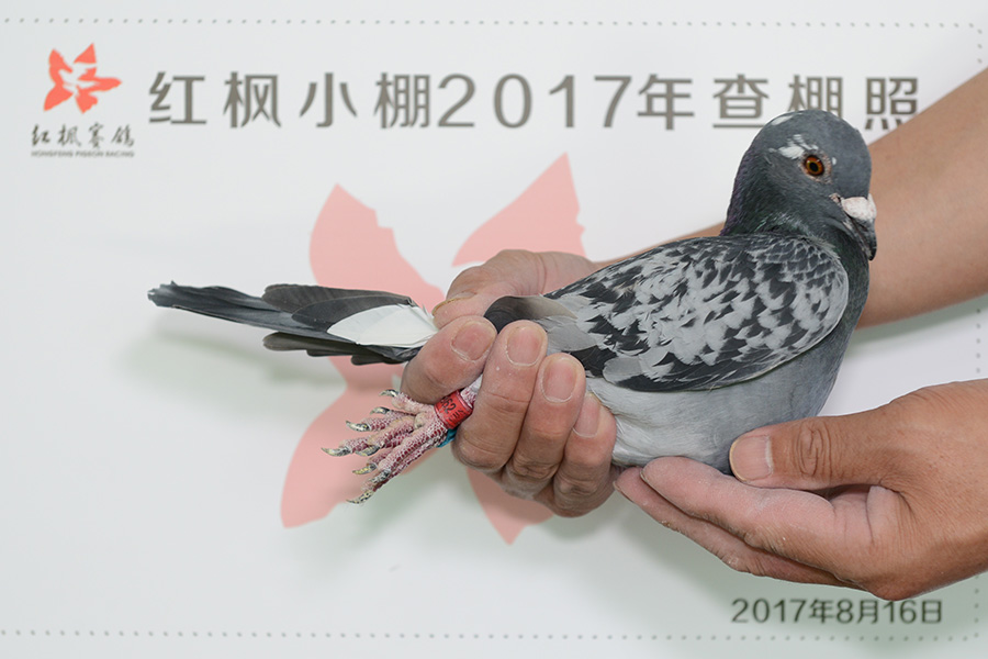 3117 