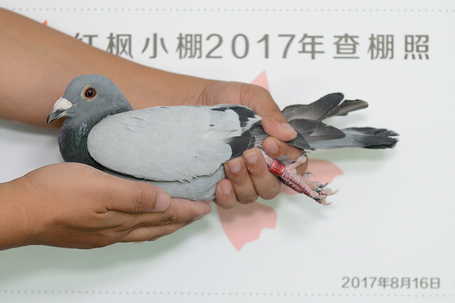 3137 