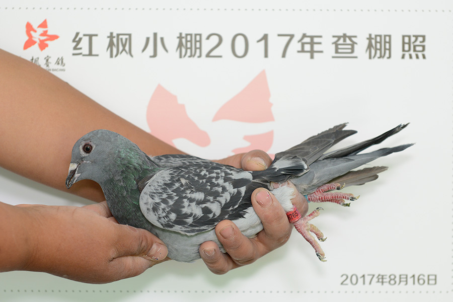 3342 