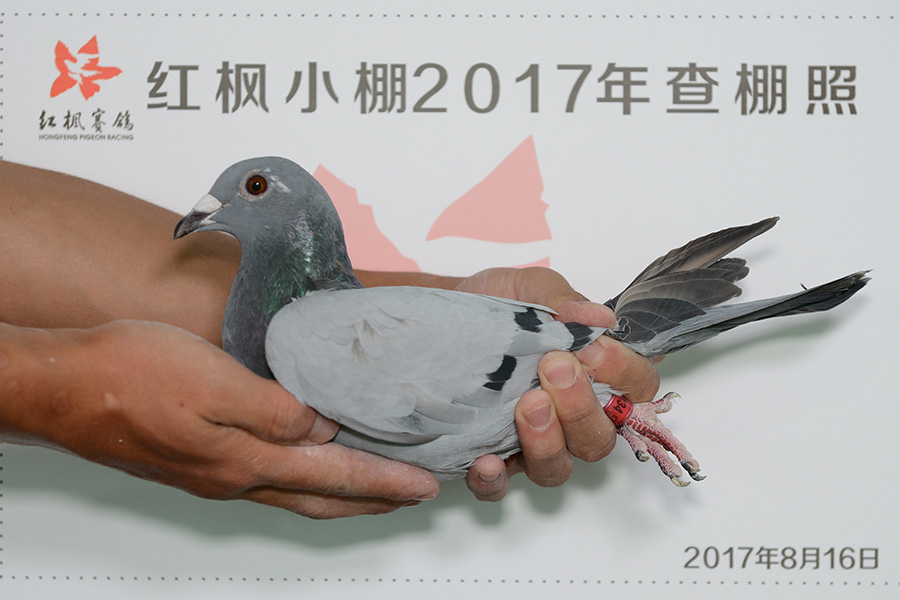 3442 