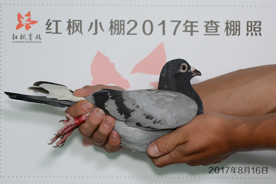 3763 